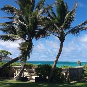 Meet your Posher, Marlene